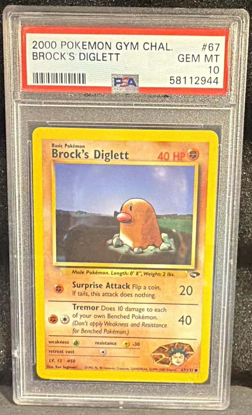 Brock'S Diglett