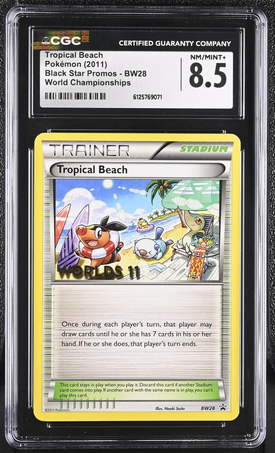 Tropical Beach