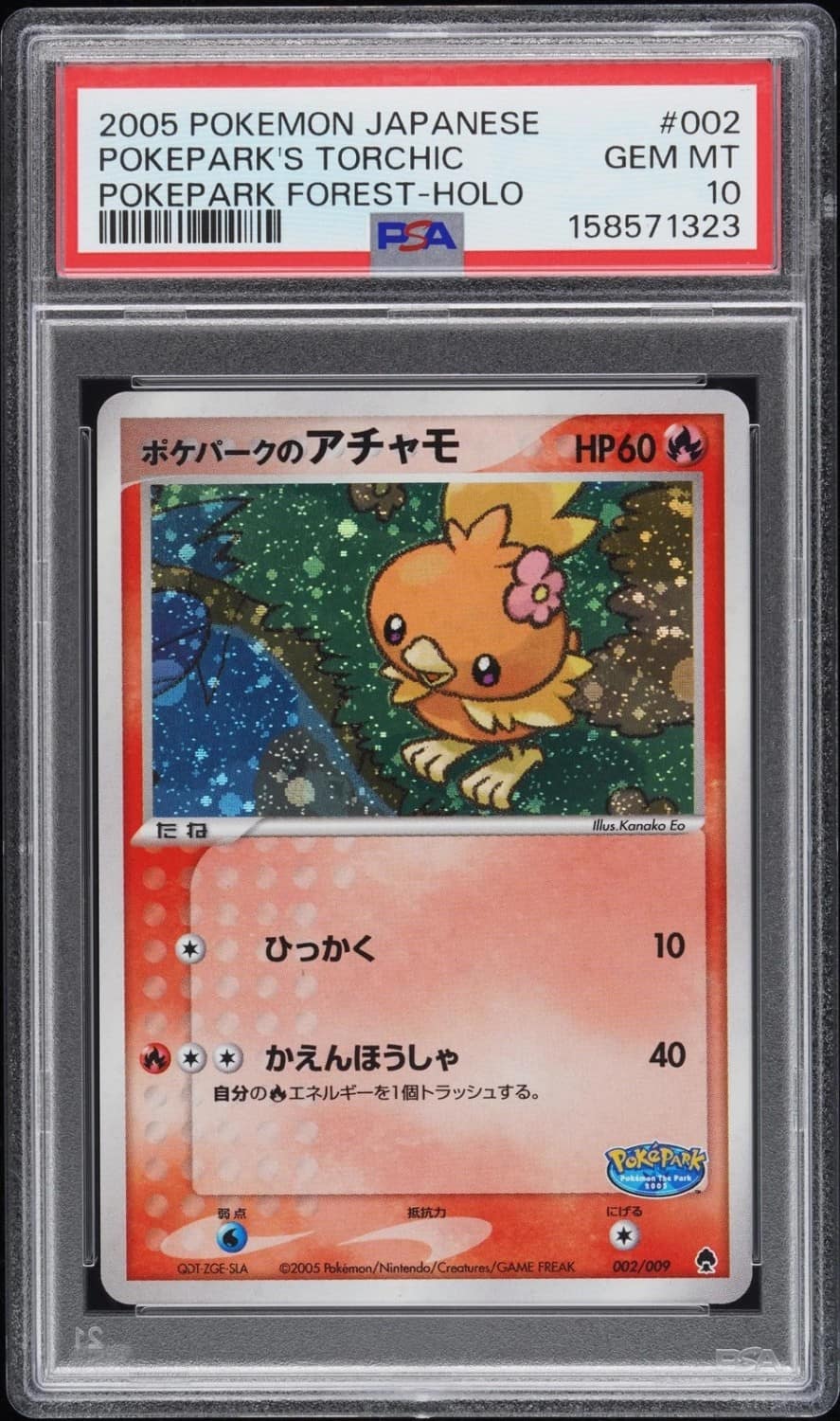 Pokepark'S Torchic