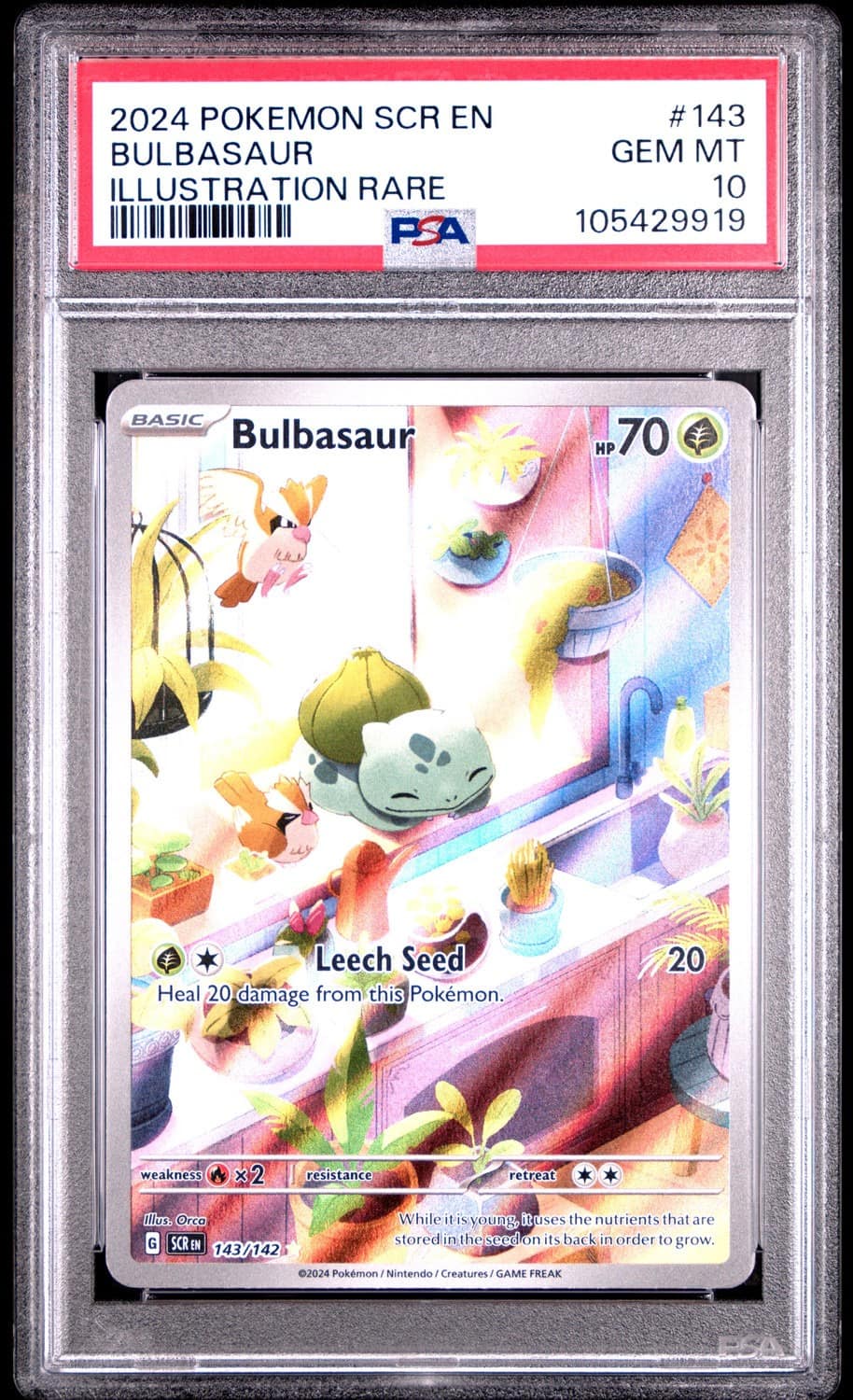 Bulbasaur