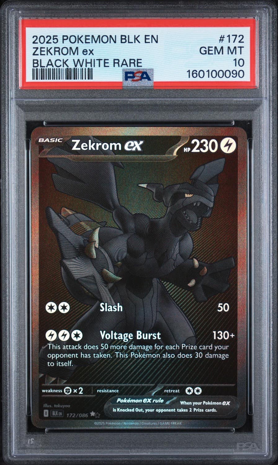 Zekrom Ex