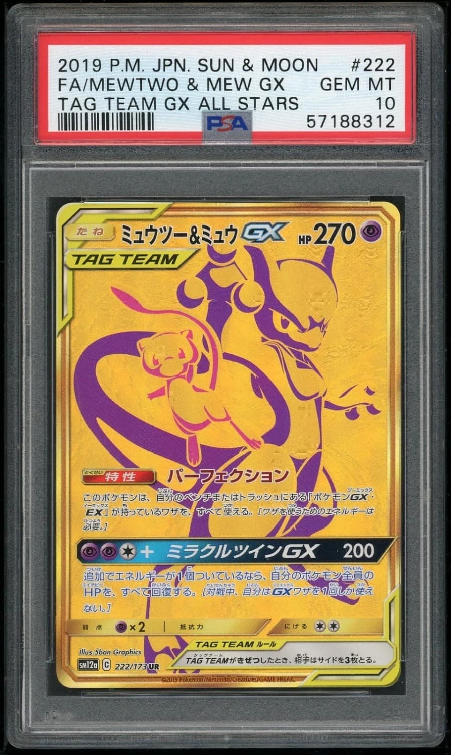 Mewtwo & Mew Gx