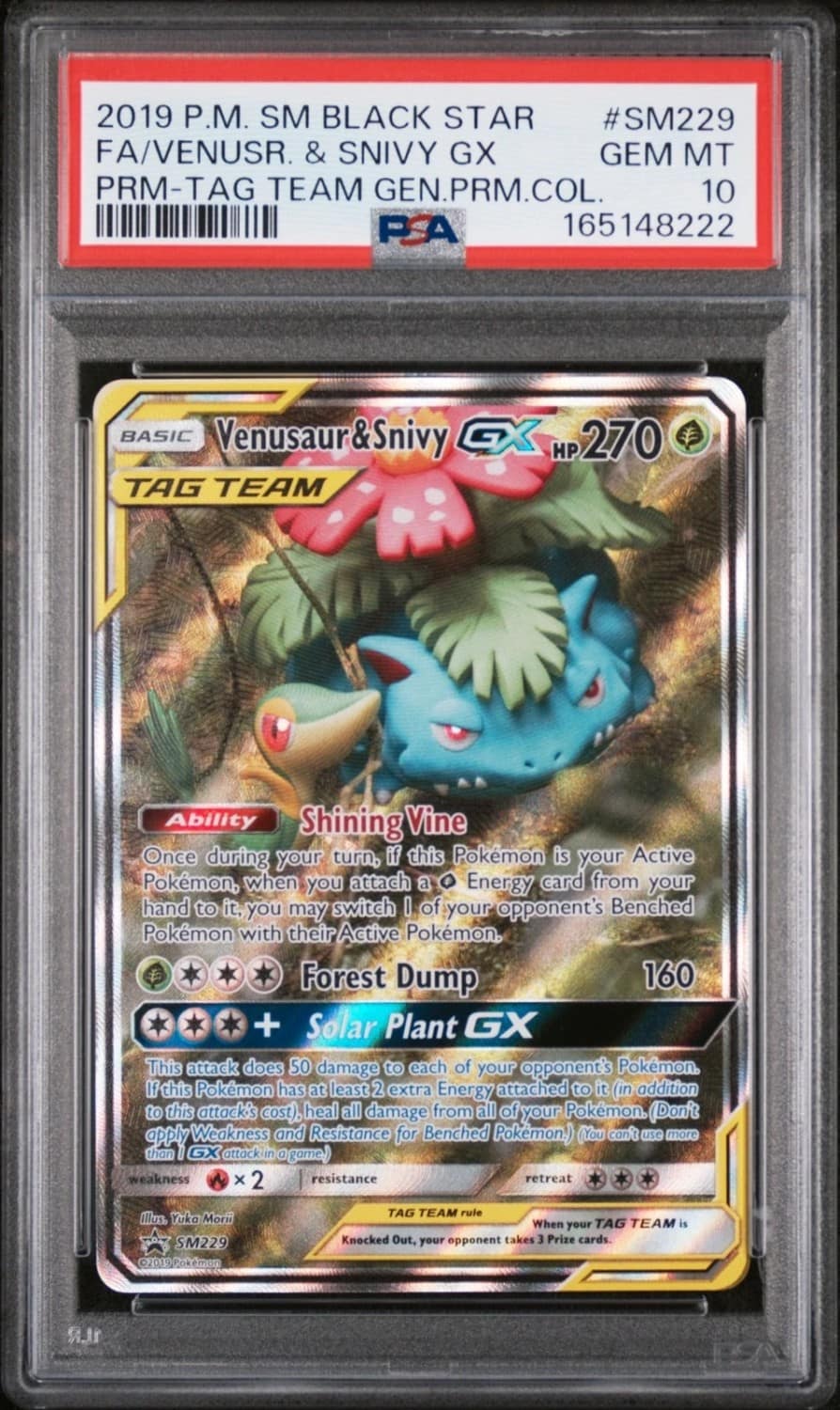 Venusaur & Snivy Gx