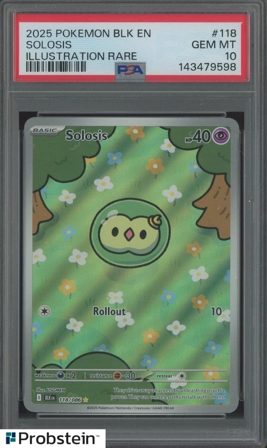 Solosis