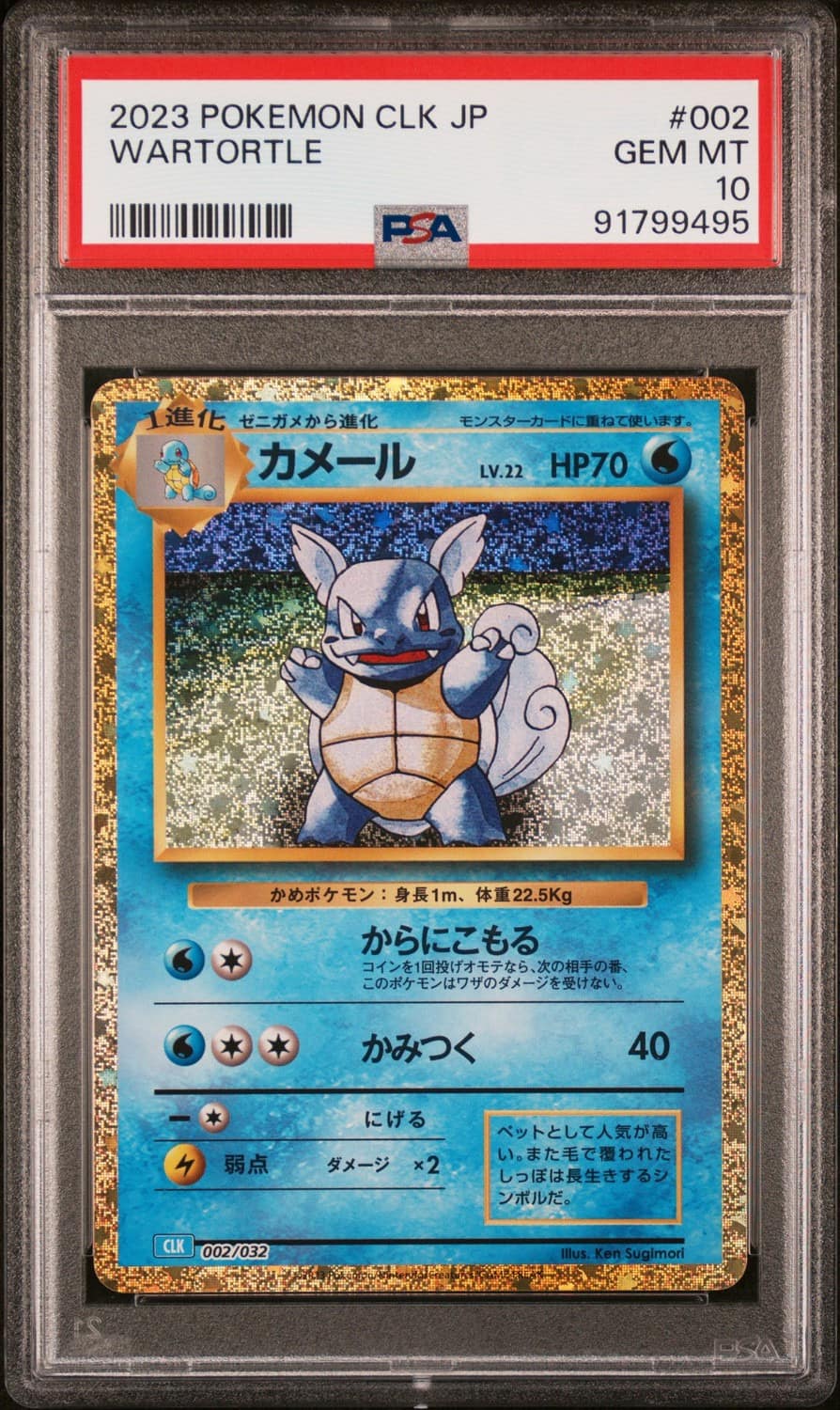 Wartortle