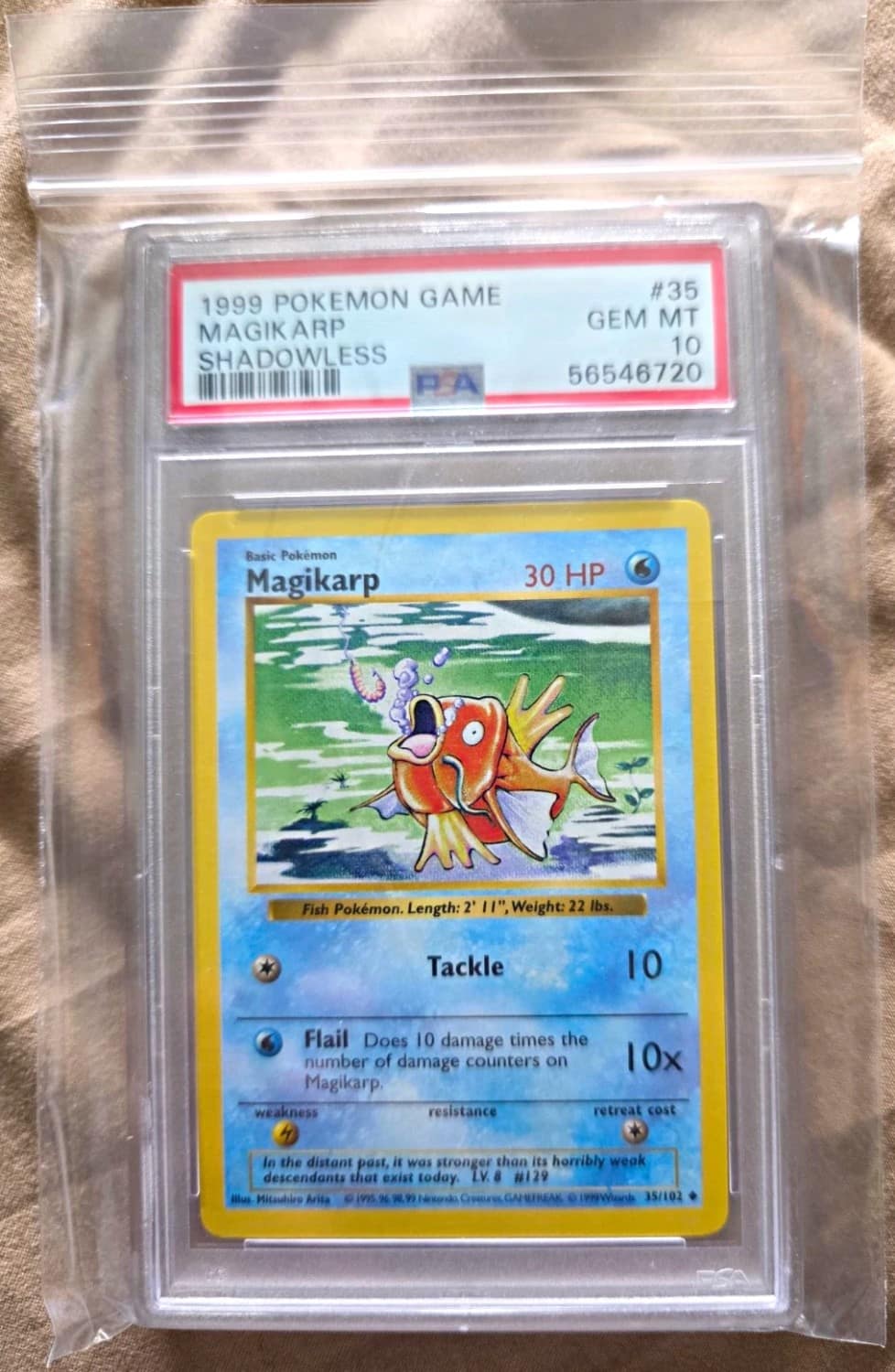 Magikarp