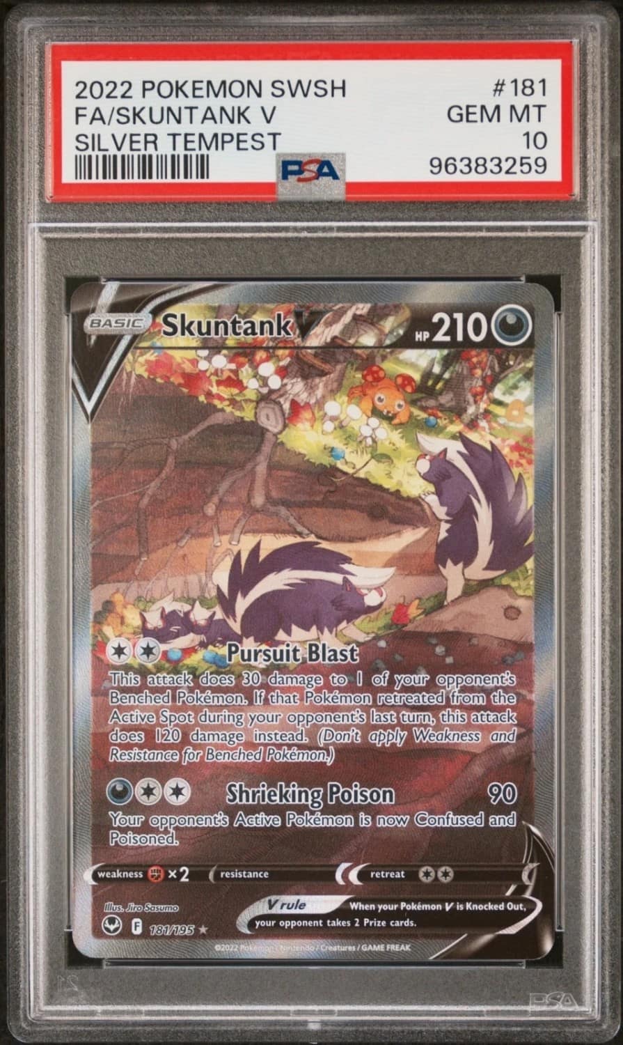 Skuntank V