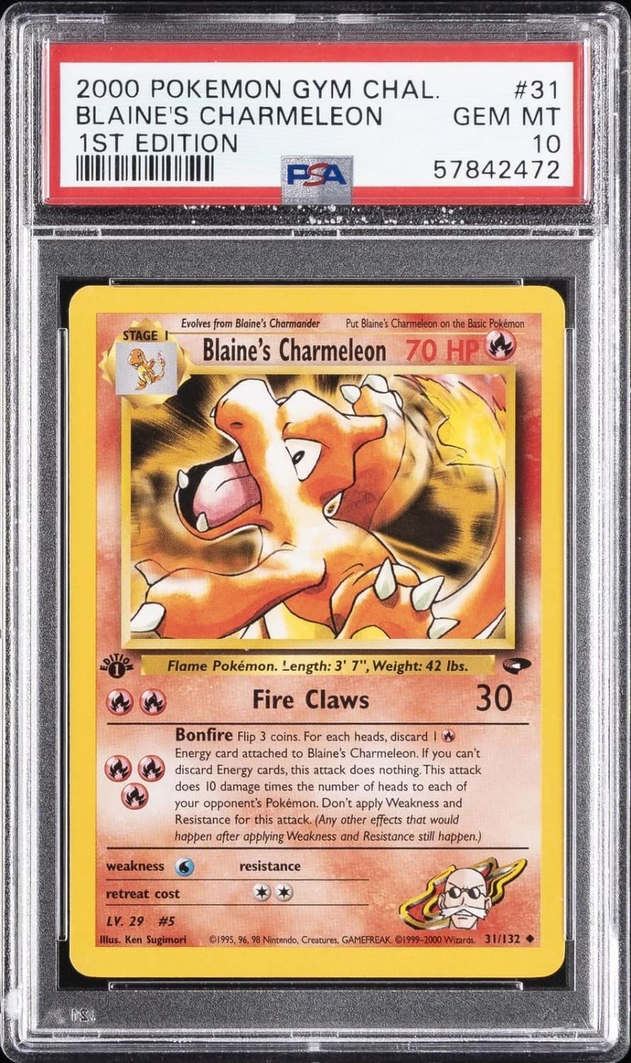 Blaine'S Charmeleon