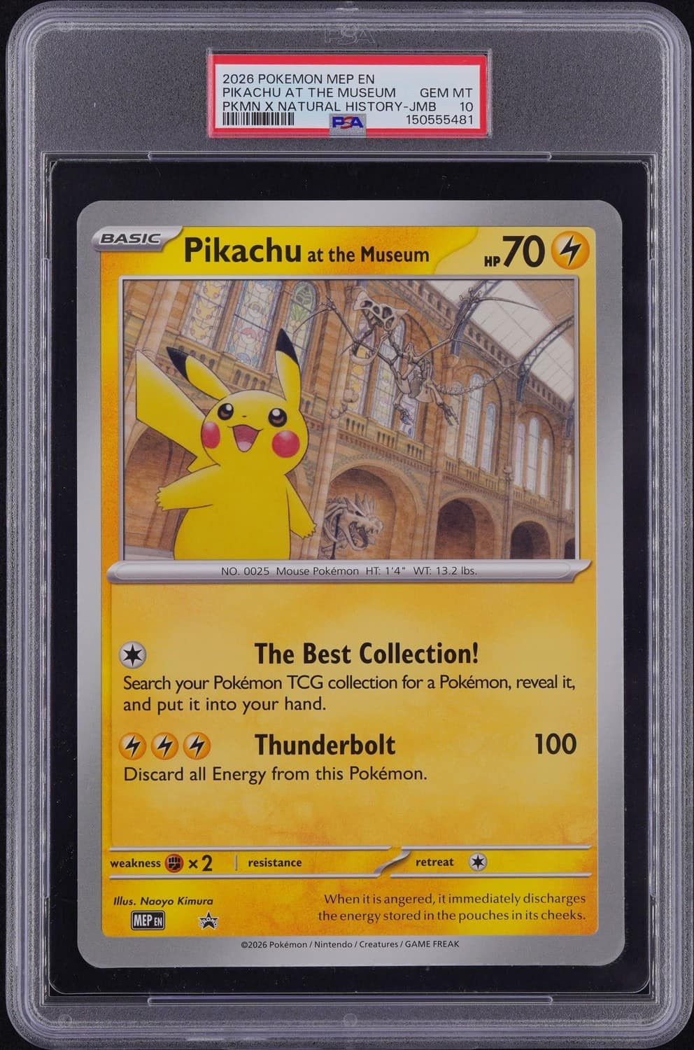 Pikachu At The Museum