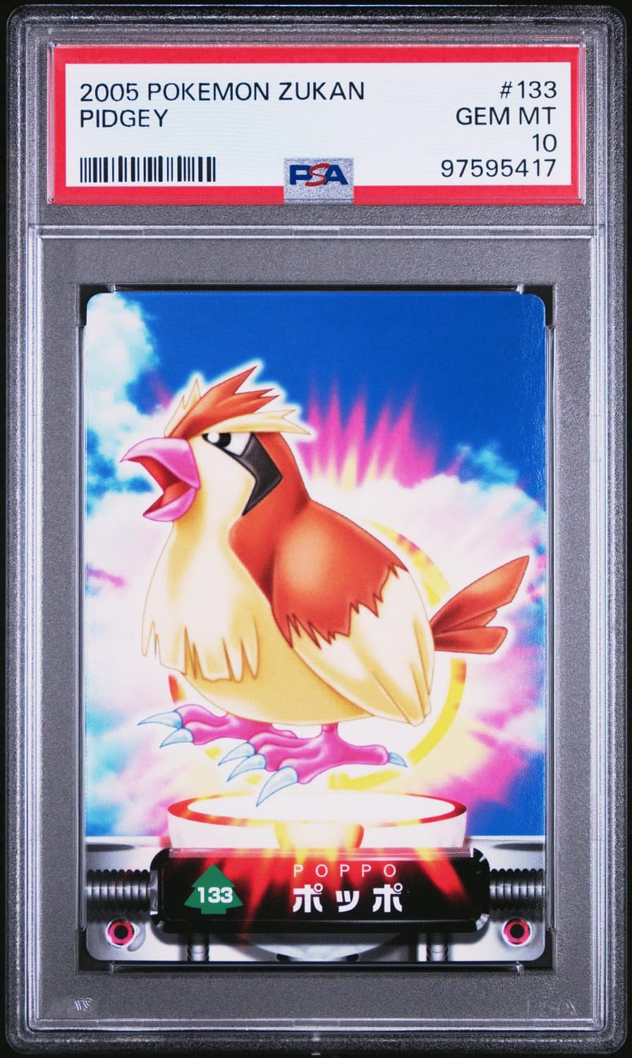 Pidgey
