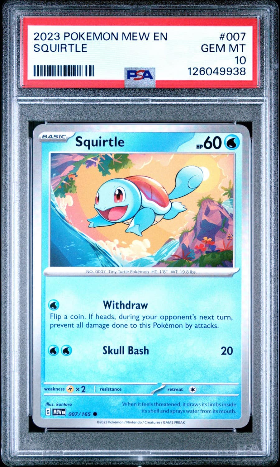 Squirtle