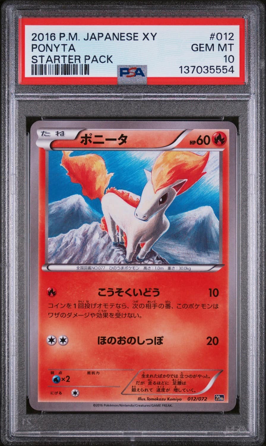 Ponyta