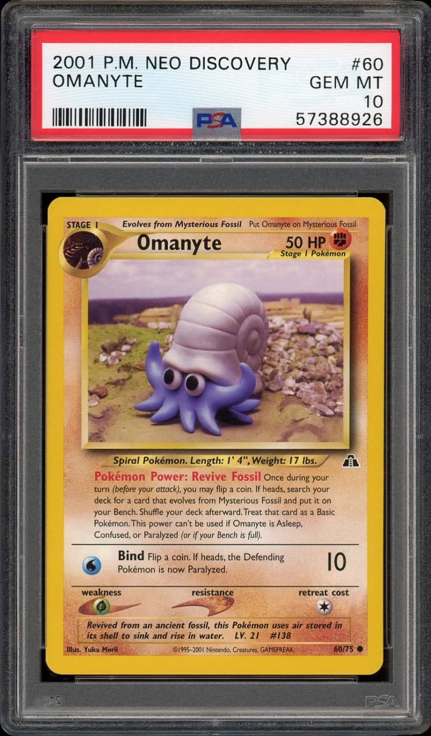 Omanyte