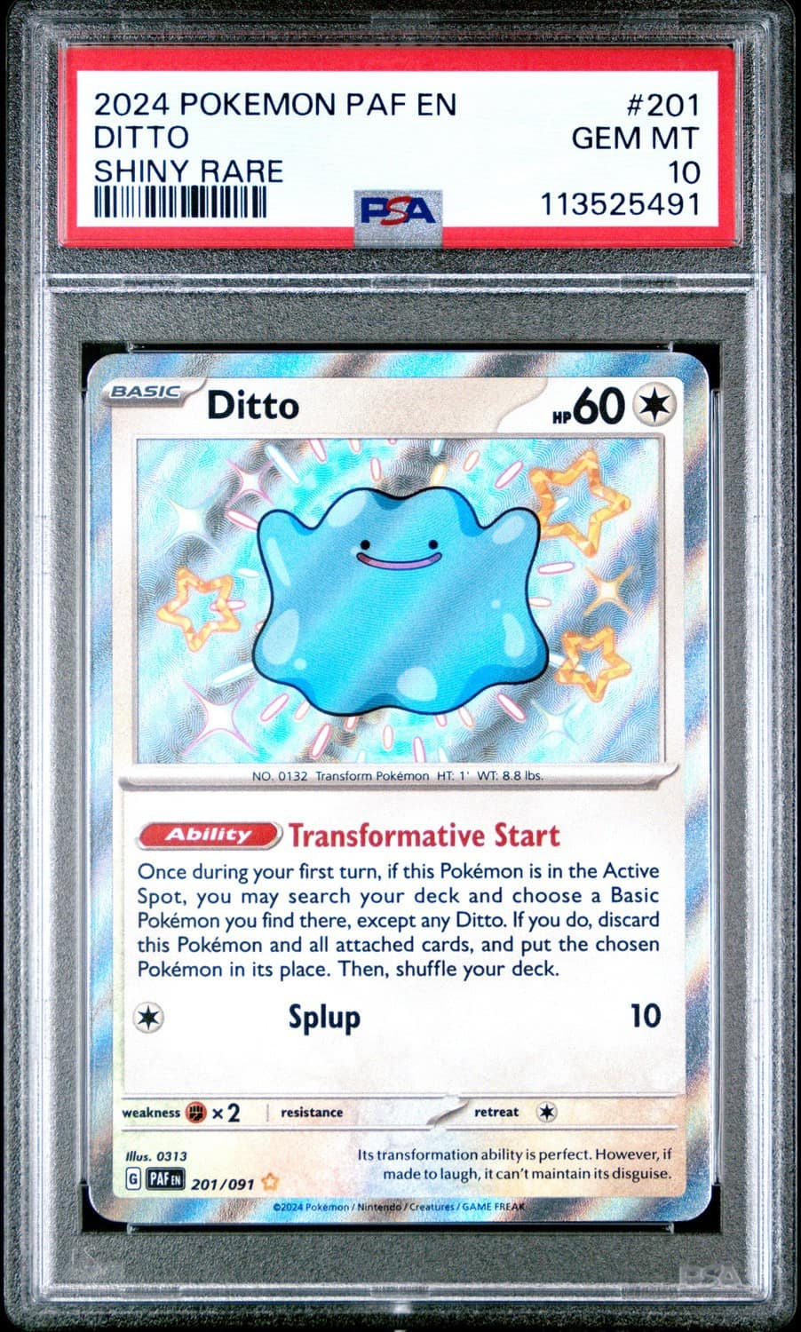 Ditto