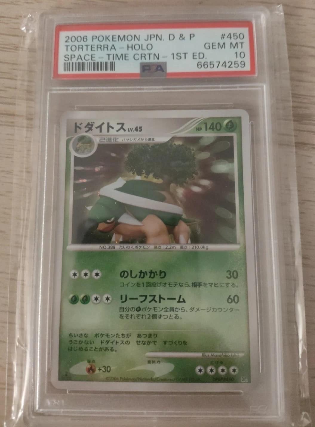 Torterra