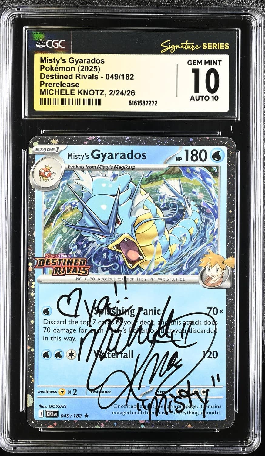 Misty'S Gyarados