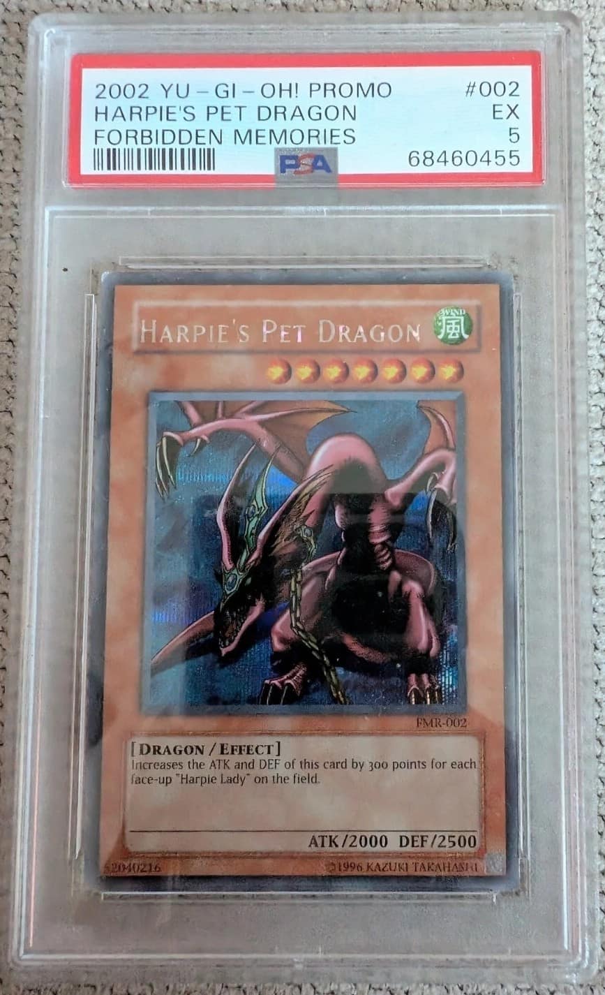 Harpie'S Pet Dragon