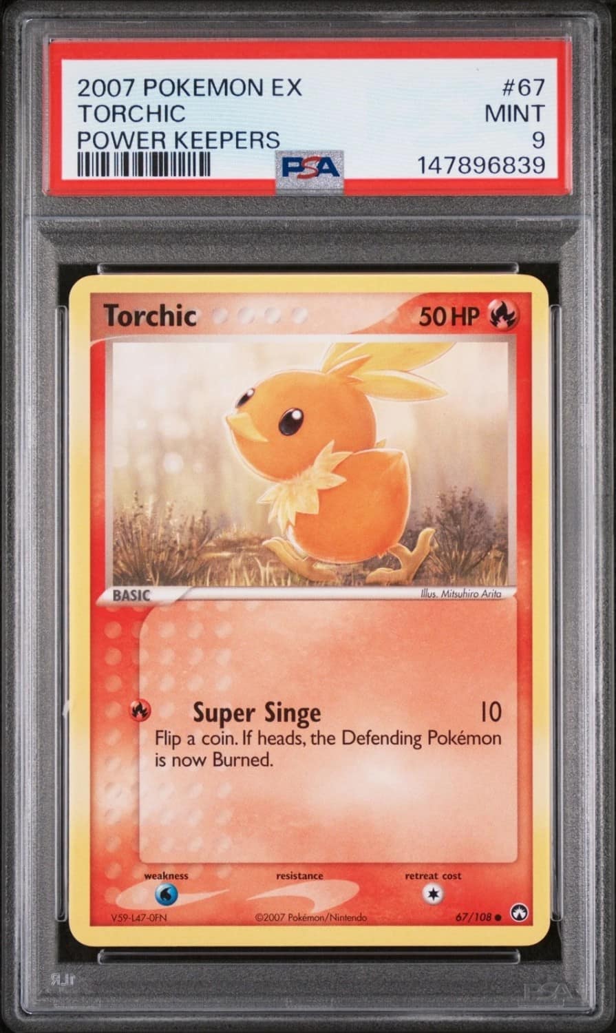 Torchic