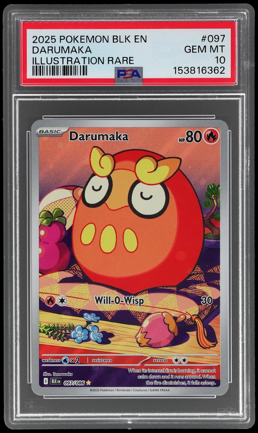 Darumaka