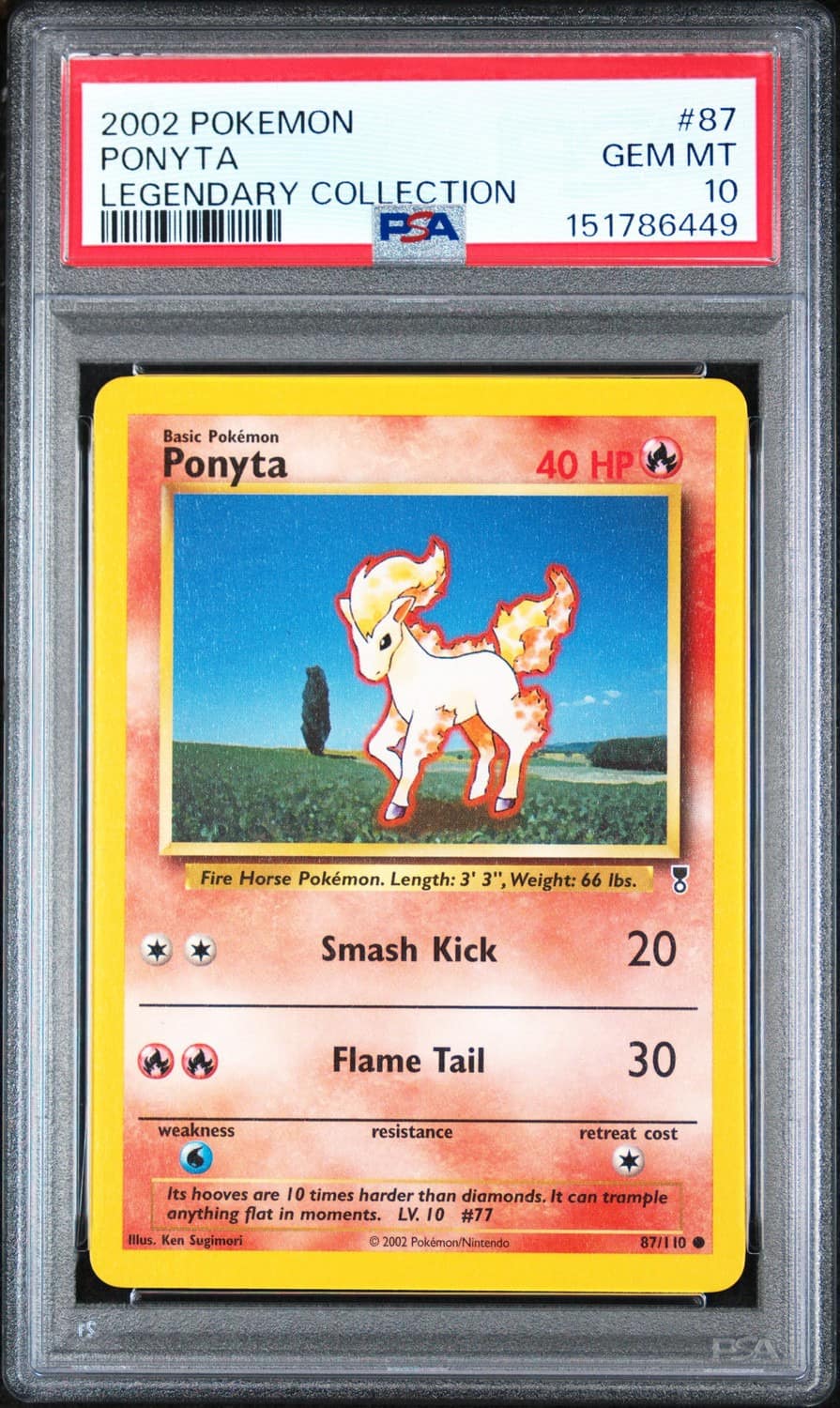 Ponyta
