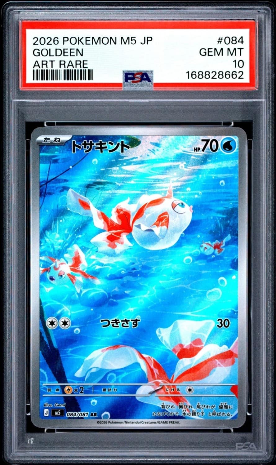 Goldeen