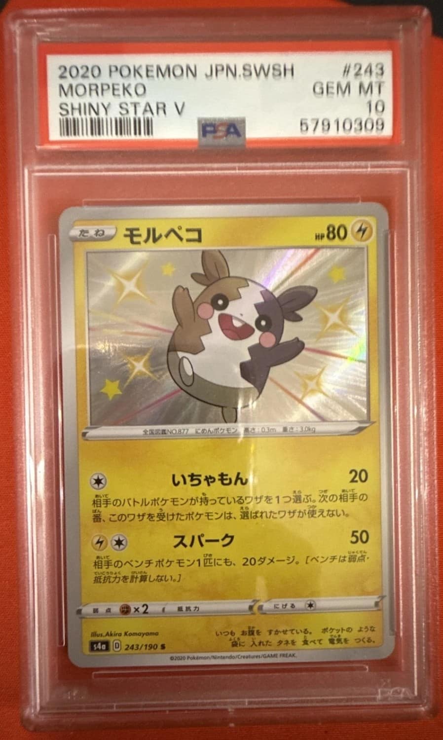 Morpeko