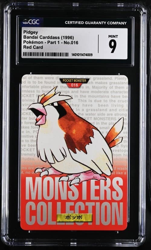 Pidgey