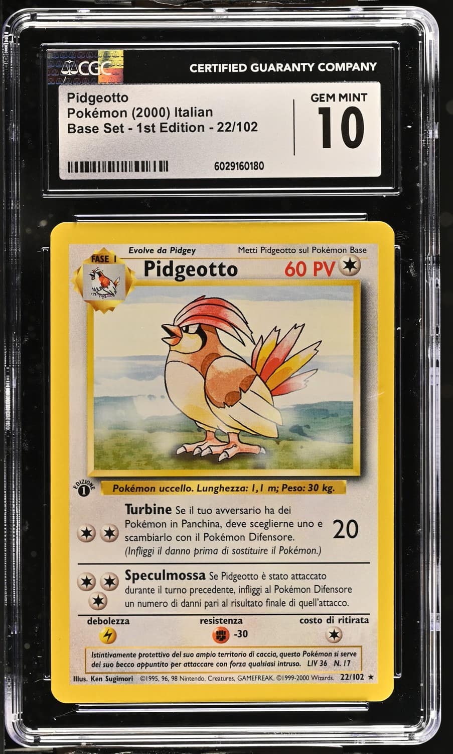 Pidgeotto