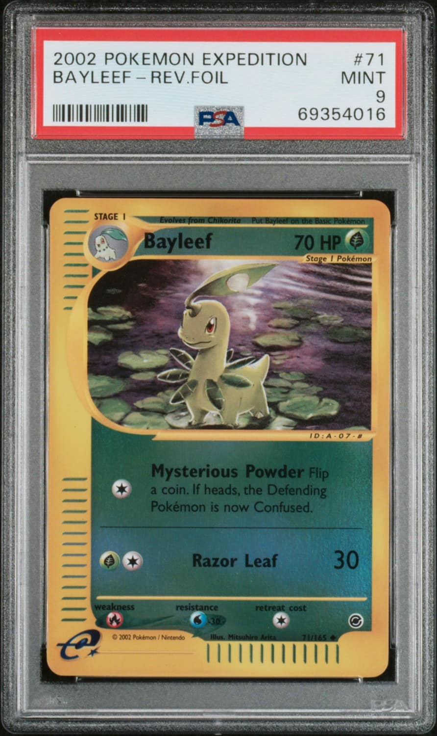 Bayleef