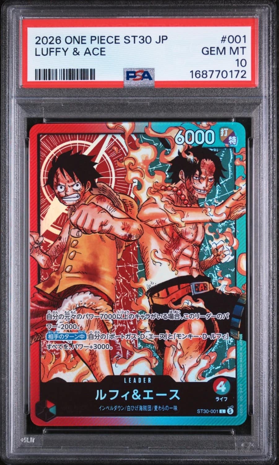 Luffy & Ace