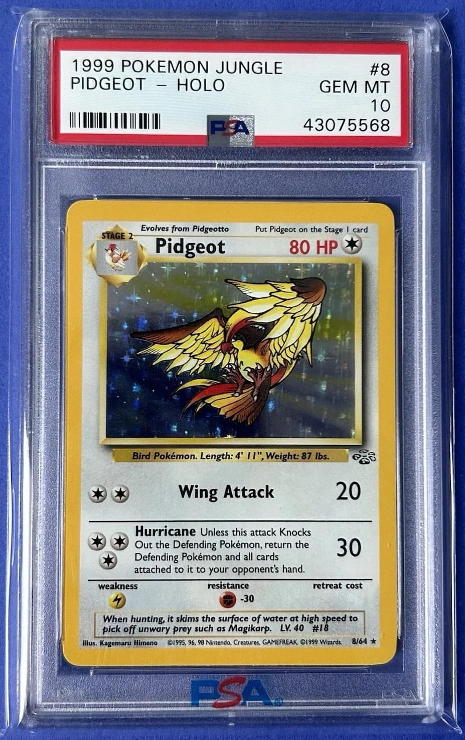 Pidgeot