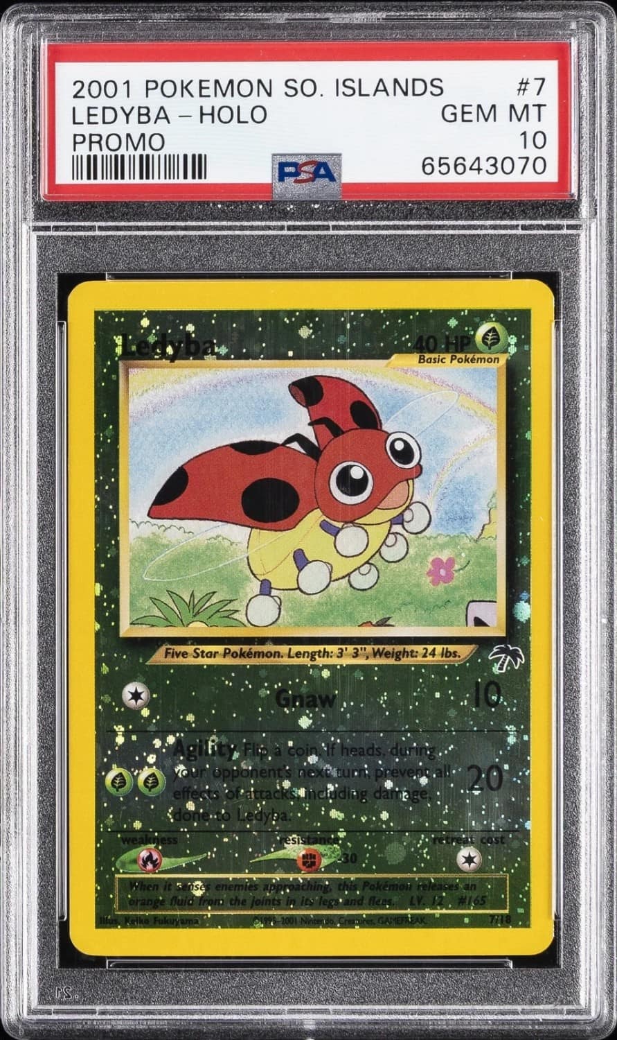 Ledyba