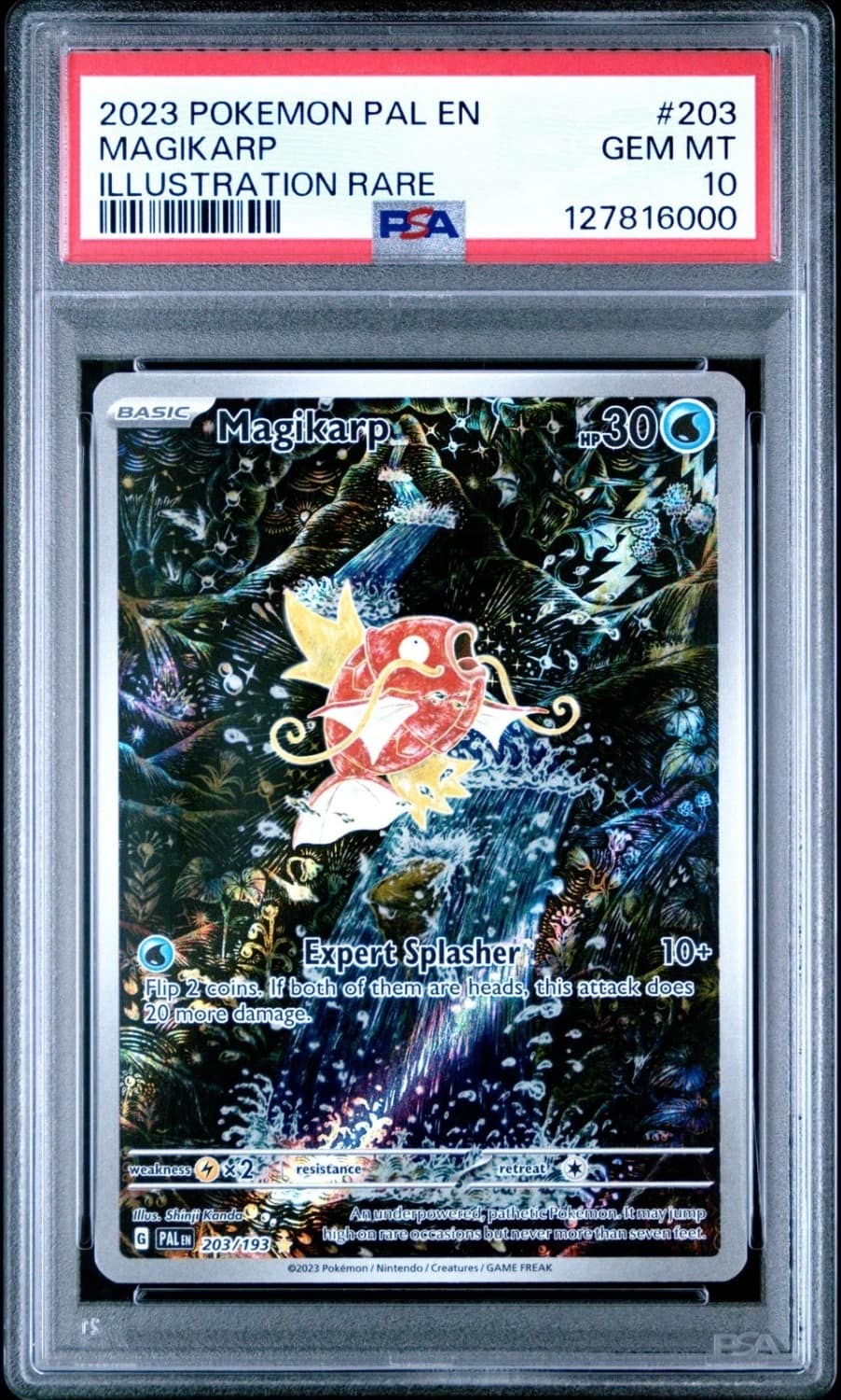 Magikarp
