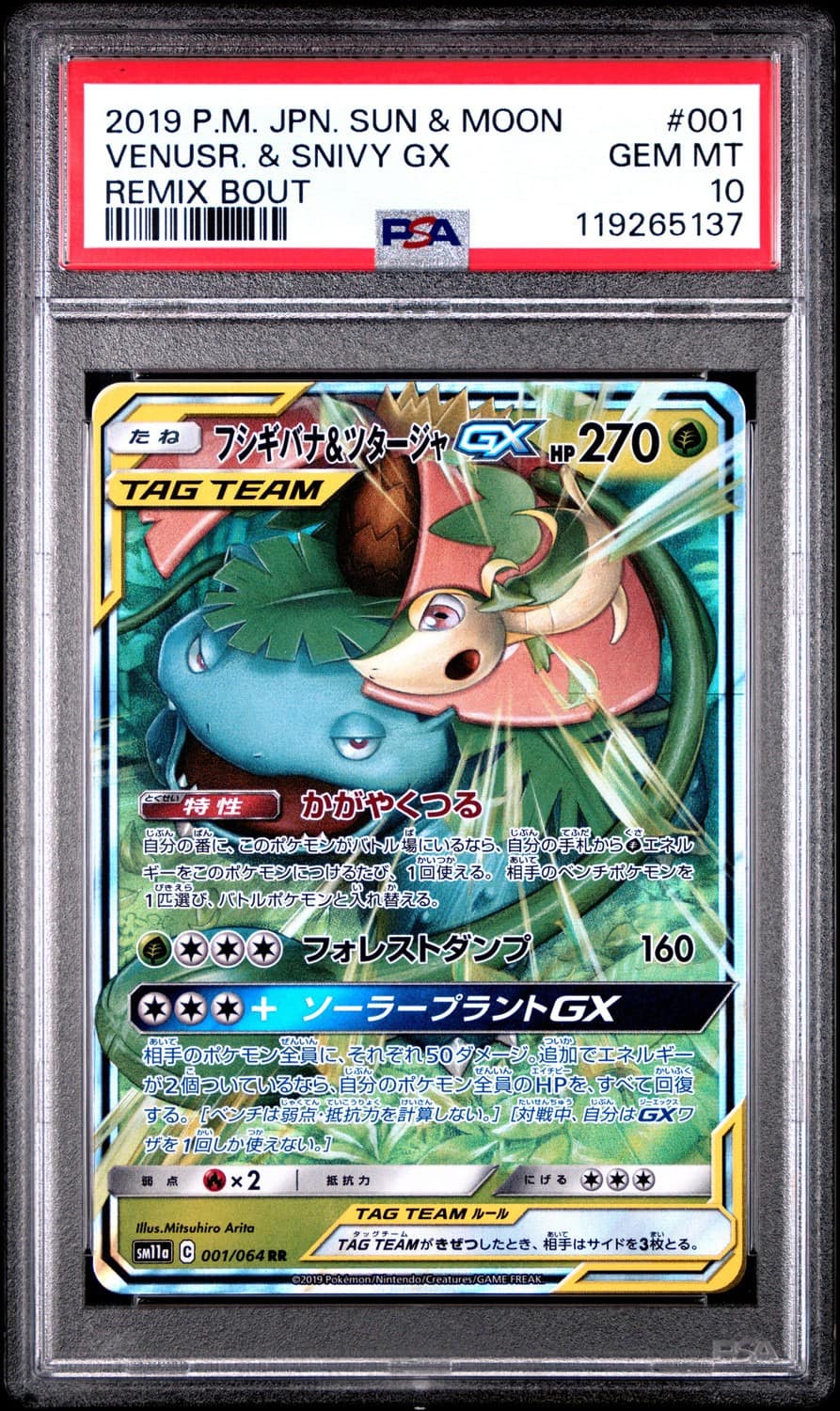 Venusaur & Snivy Gx