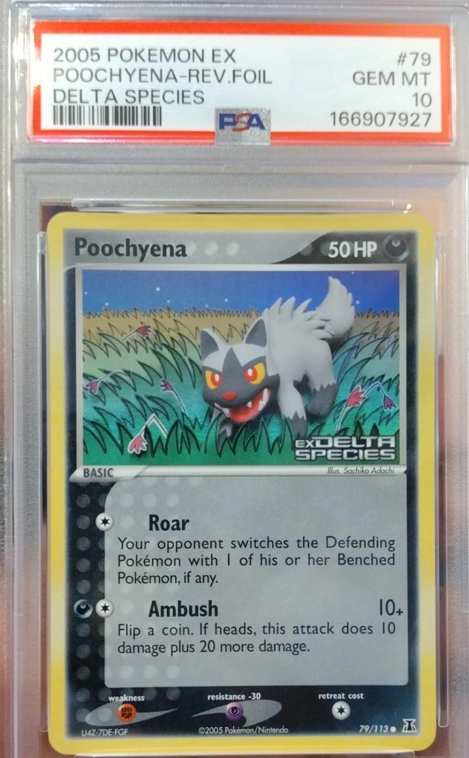 Poochyena