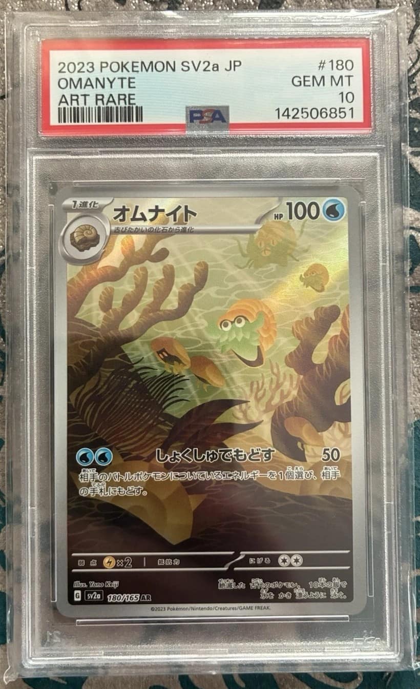 Omanyte