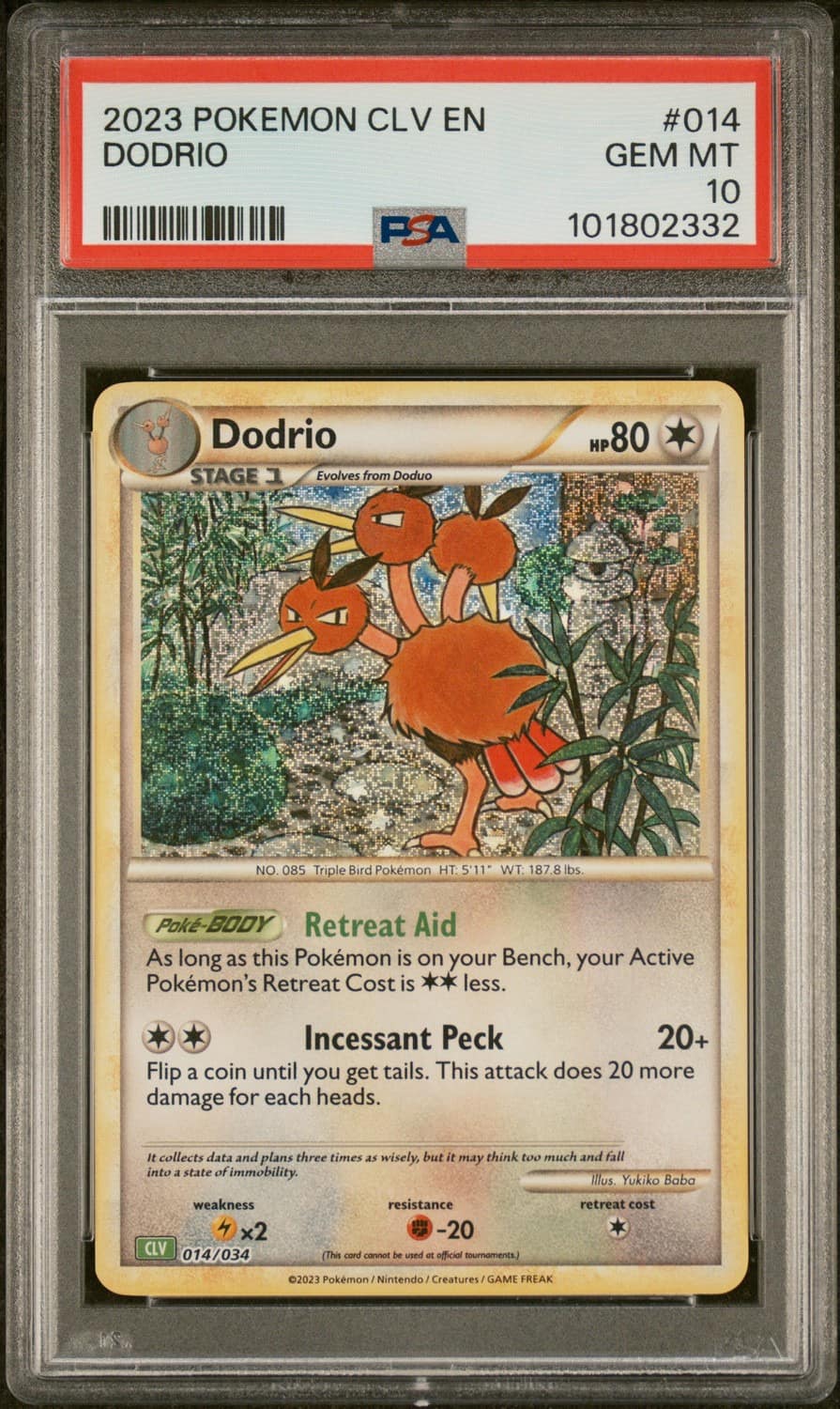 Dodrio