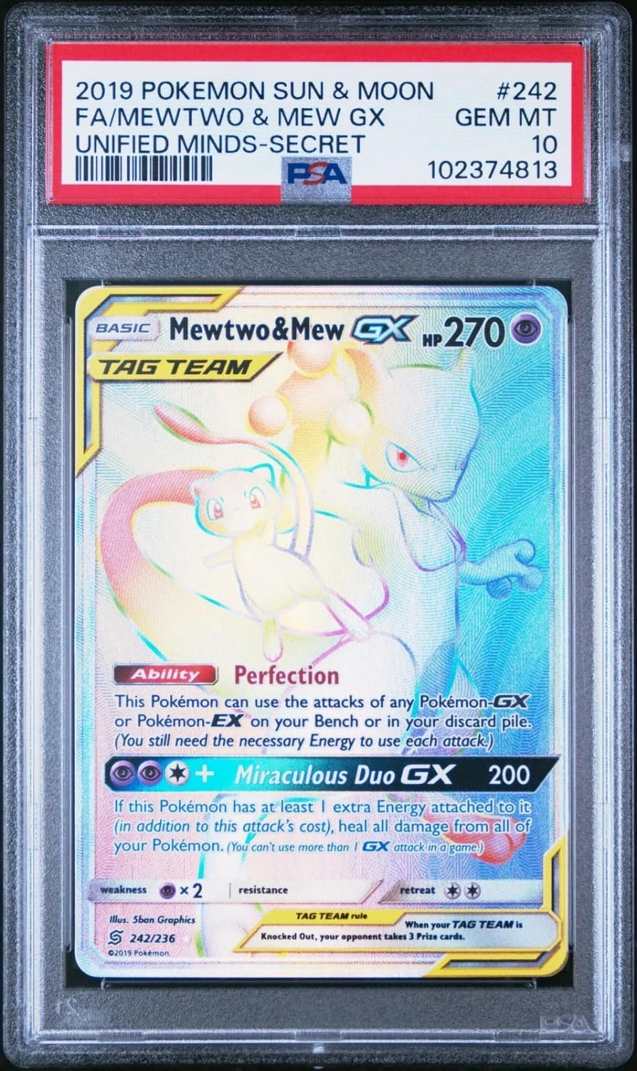Mewtwo & Mew Gx