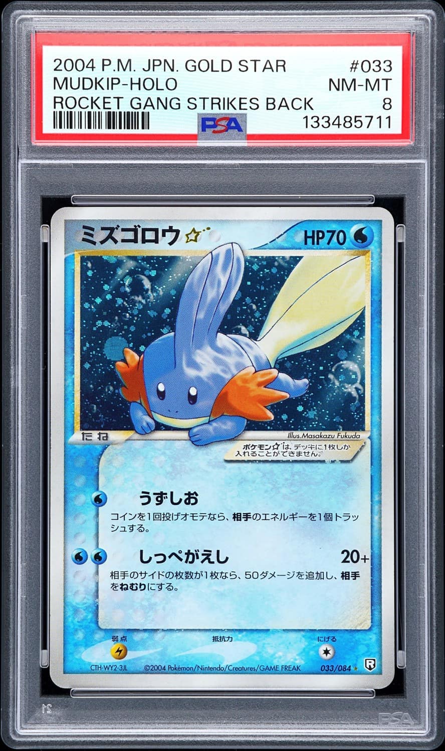 Mudkip