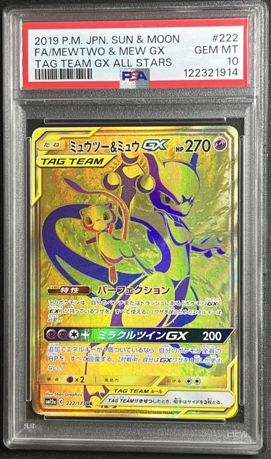 Mewtwo & Mew Gx