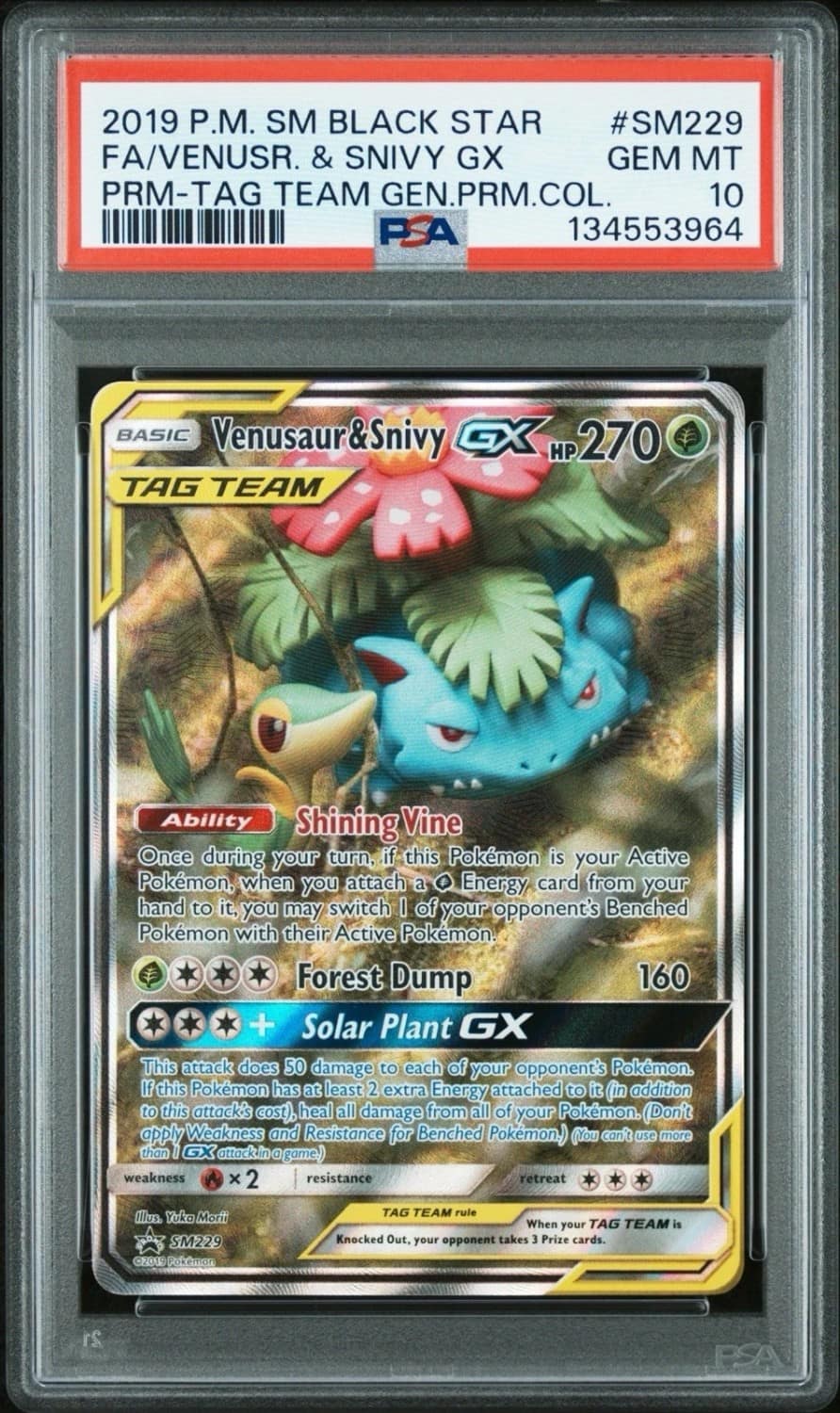 Venusaur & Snivy Gx