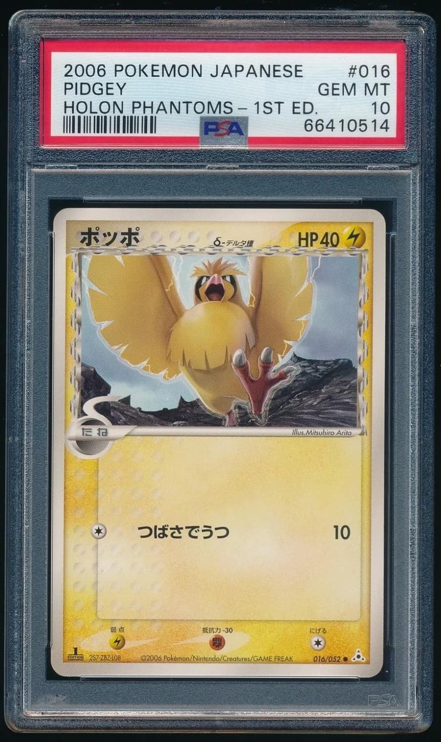Pidgey
