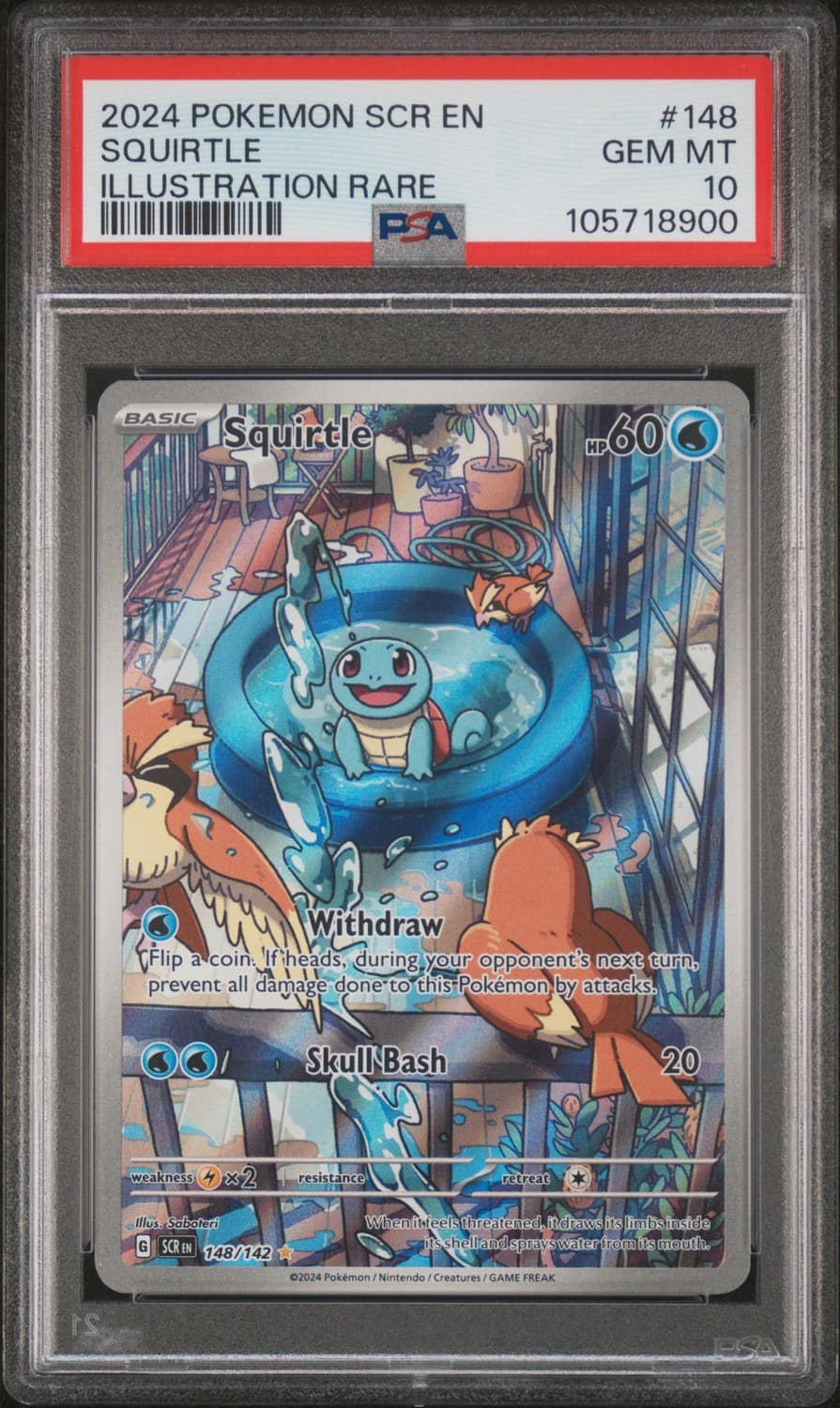 Squirtle