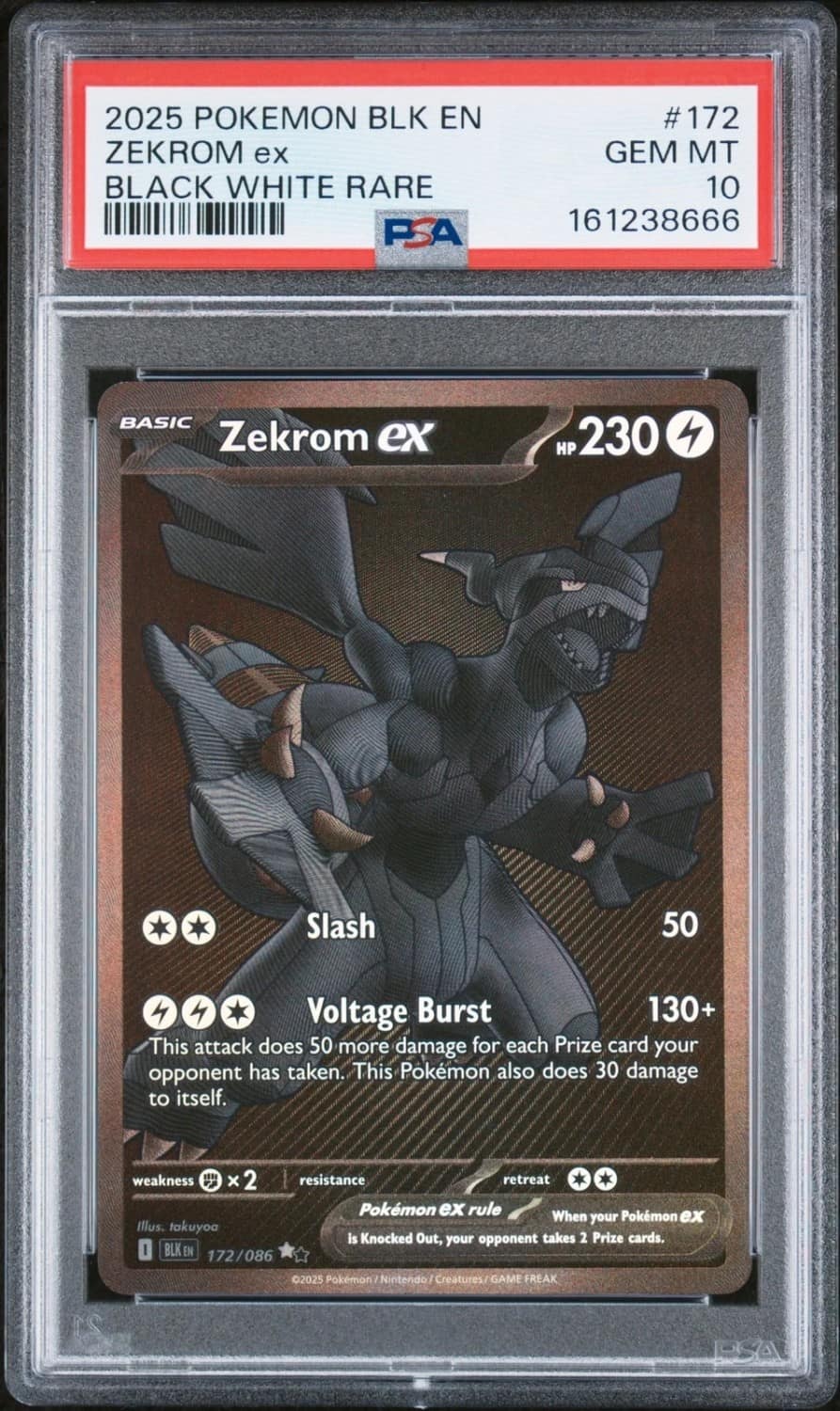Zekrom Ex