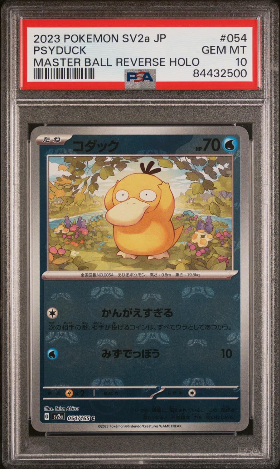 Psyduck