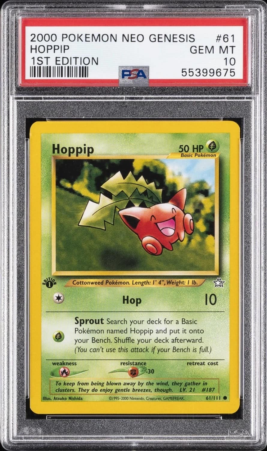 Hoppip