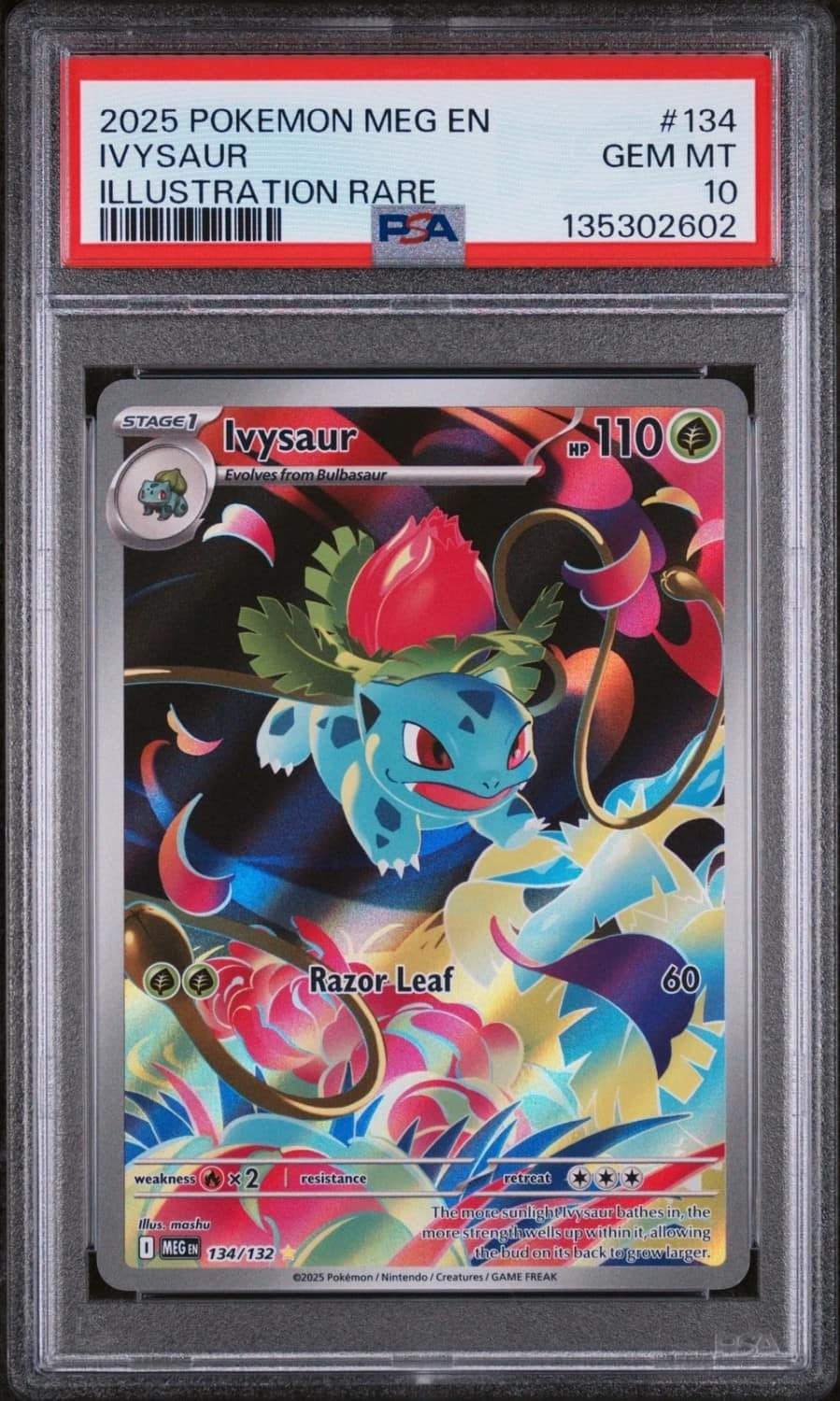 Ivysaur