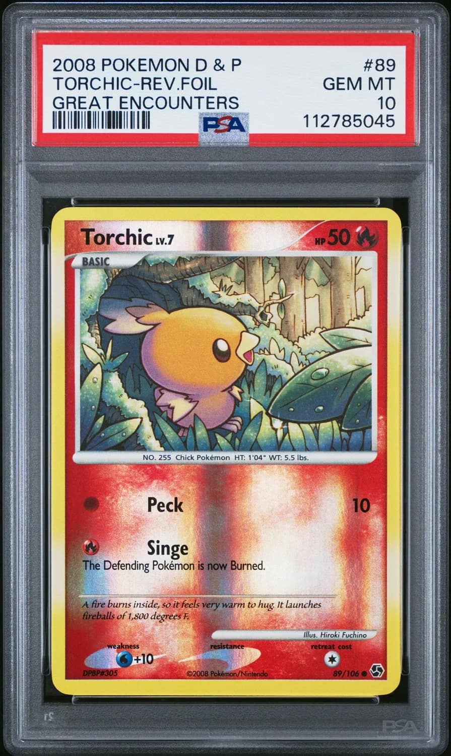 Torchic