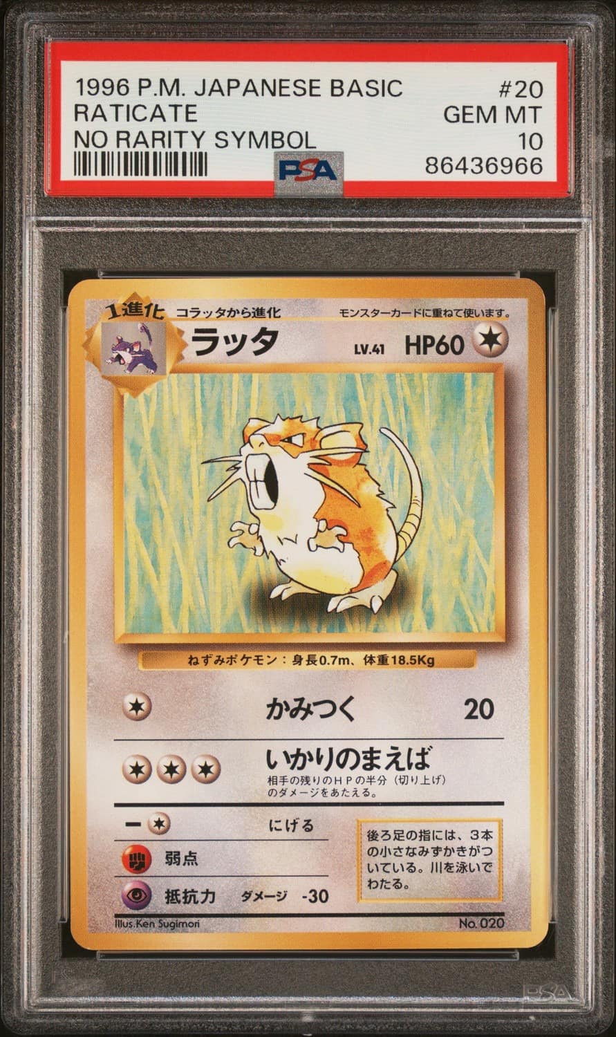 Raticate