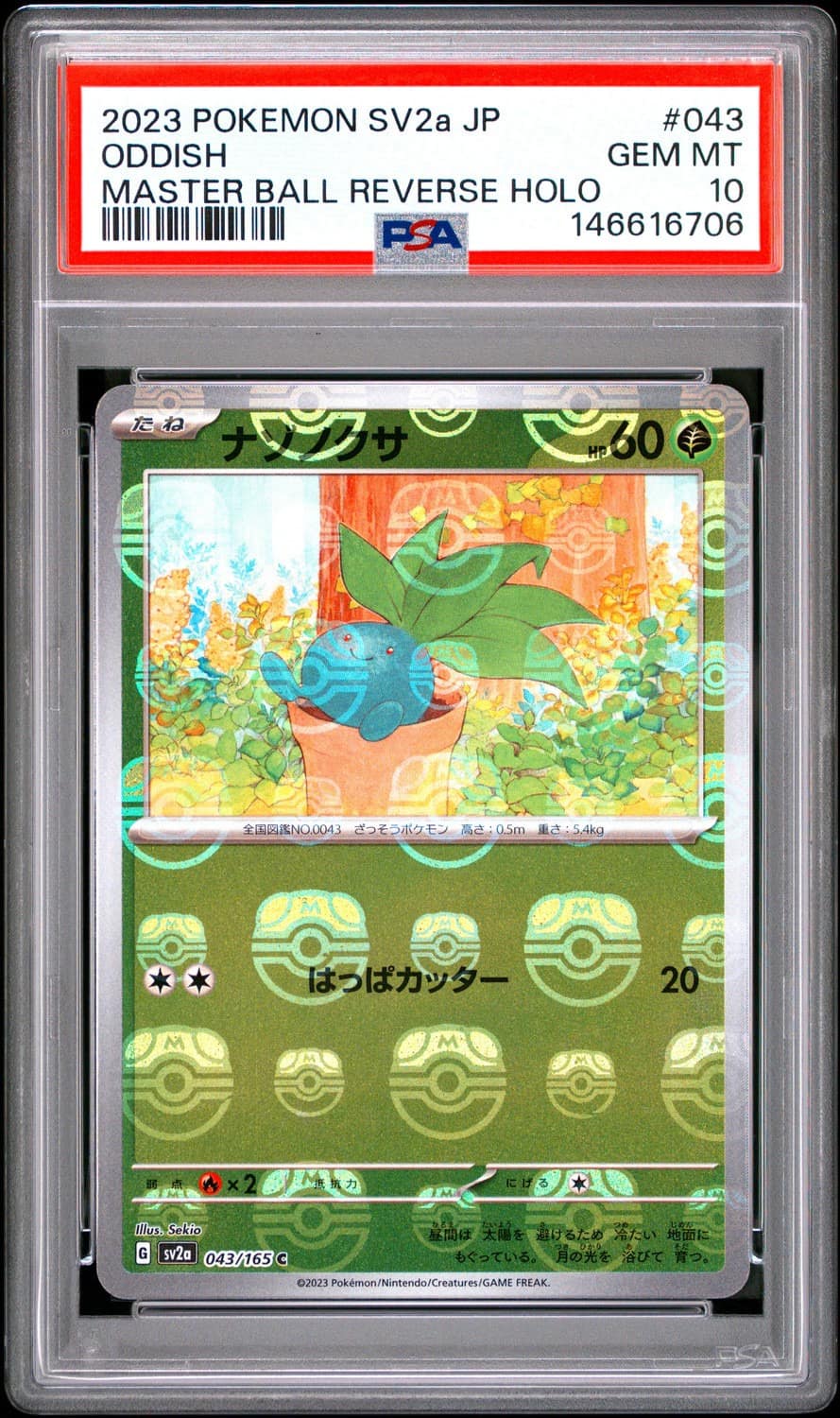 Oddish